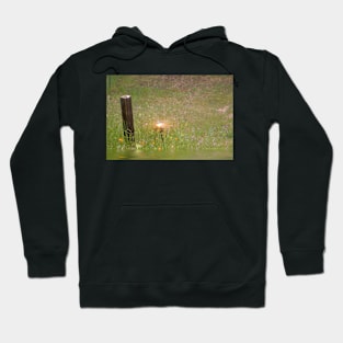 Lighting the Way Hoodie